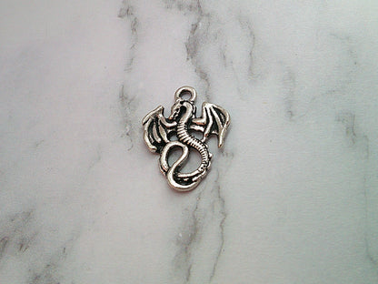 USB Dust Plug E-reader Charms - Dragon Themed