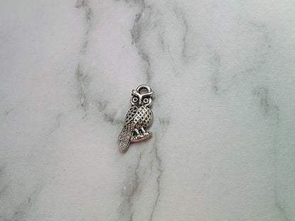 USB Dust Plug E-reader Charms - Bird Themed